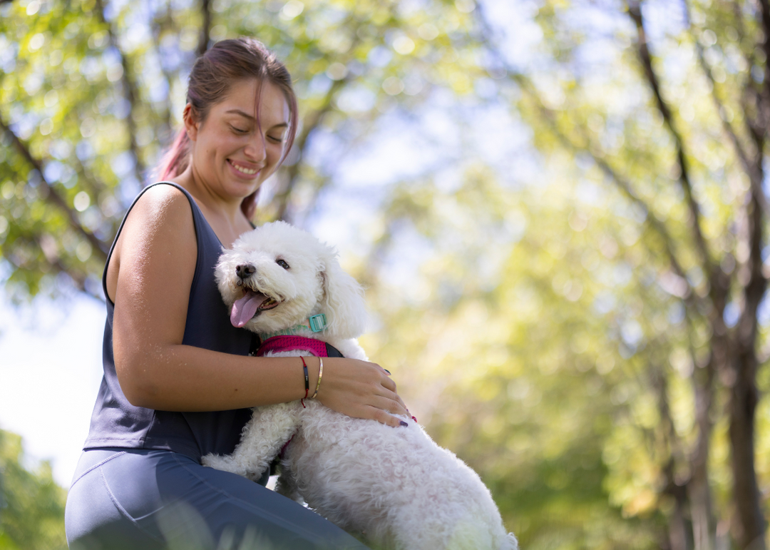 Unleash a Healthier, Happier 2024 for Your Dog with These Simple Steps
