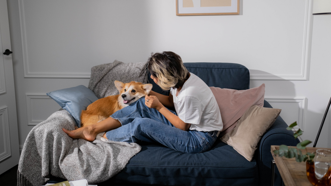 The Ultimate Sunday Reset for You and Your Dog