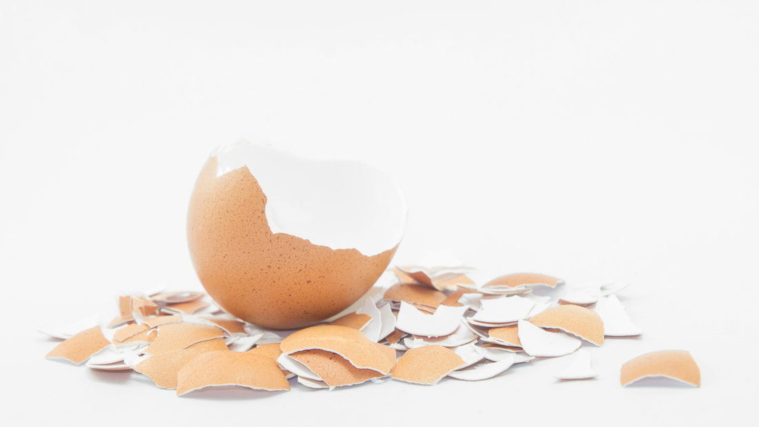 Can Dogs Eat Eggshells? Benefits, Safety & How to Use Eggshell Powder