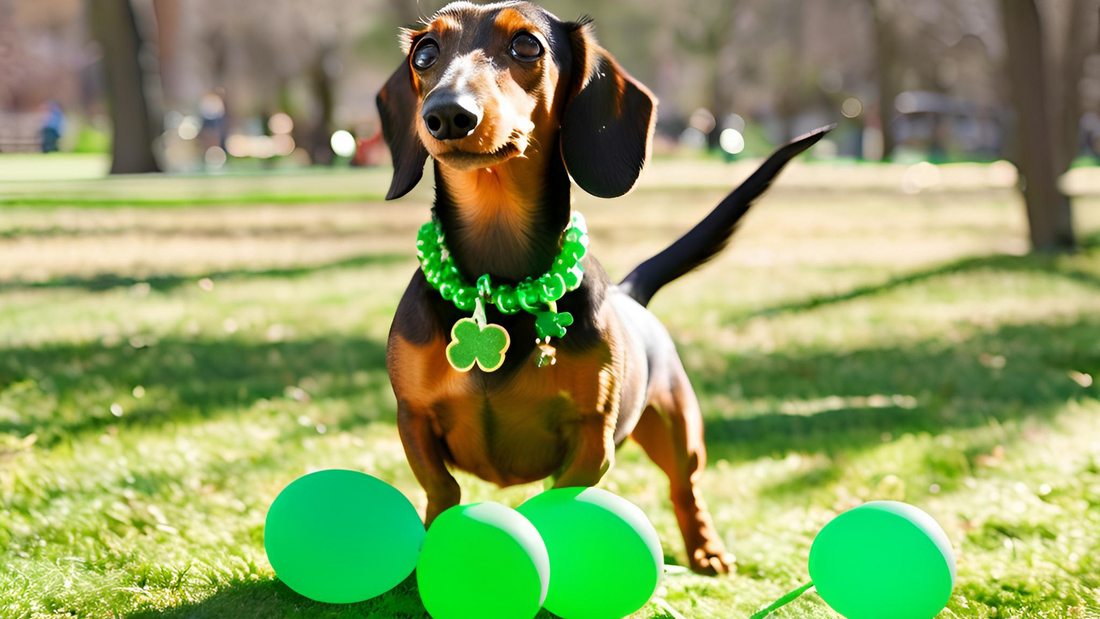 Rudy’s Shamrock Shenanigans: My Top Tips for Finding the Pot of Gold