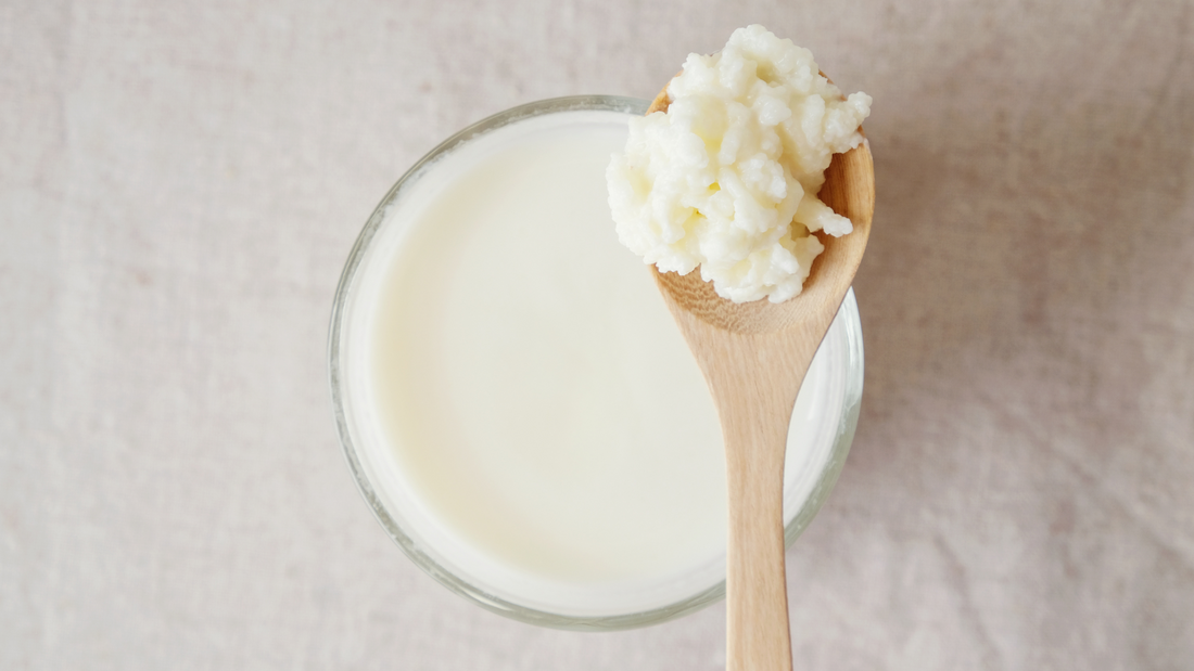 Kefir for Dogs: The Superfood Your Pup’s Gut Will Love!