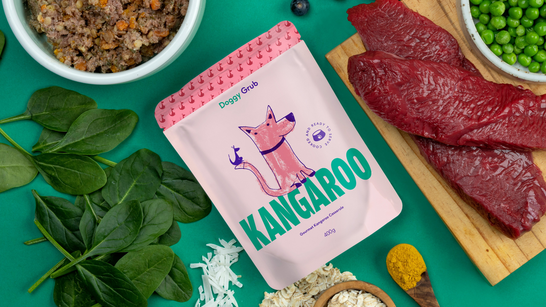 Why We Use Retort Packaging for Doggy Grub: Better for Your Pup, Better for the Planet