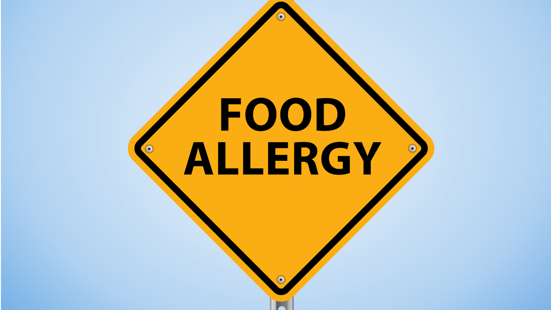 Sensitive Tummy? What to Feed Dogs with Food Intolerances