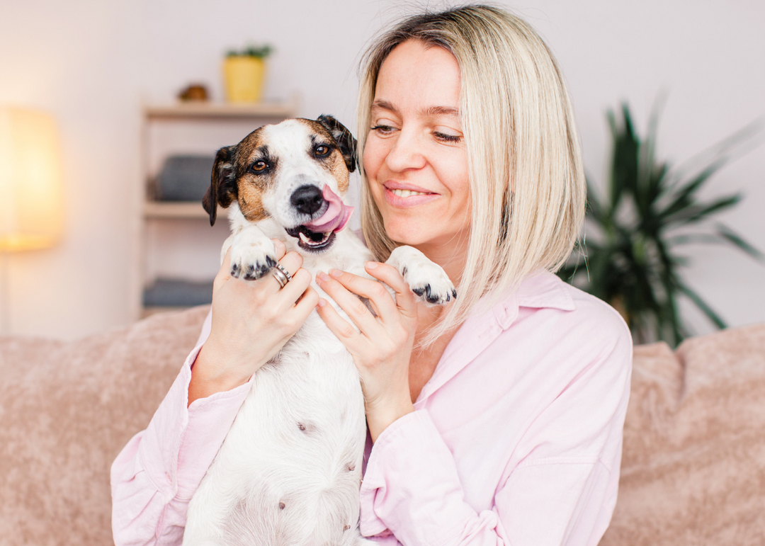 How Owning a Dog Can Boost Your Midlife Mojo