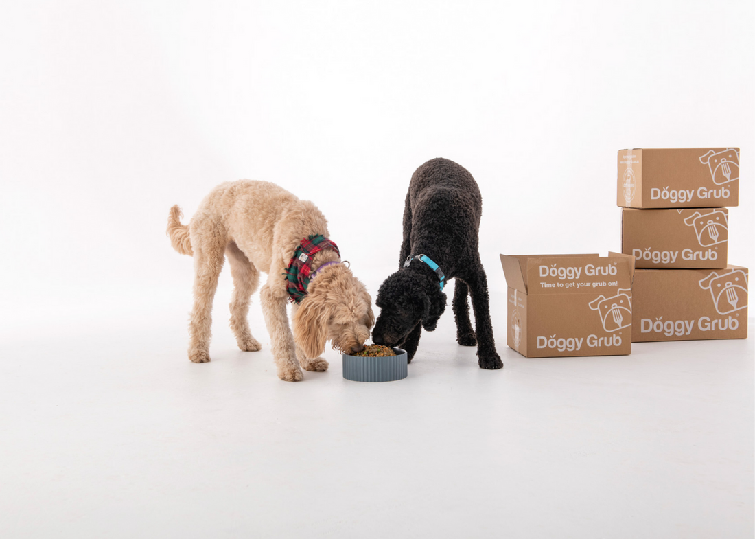 6 ways to use the Doggy Grub meals