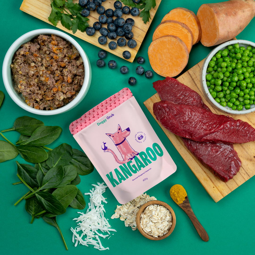 A layout of the Doggy Grub kangaroo casserole, surrounded by all the fresh ingredients used in it. They all look very fresh and with vibrand colours.