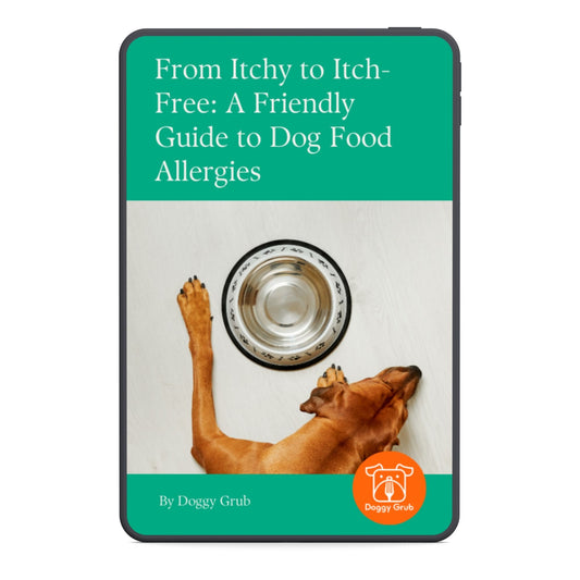 From Itchy to Itch-Free A Friendly Guide to Dog Food Allergies