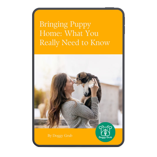 Bringing Puppy Home: What You Really Need to Know