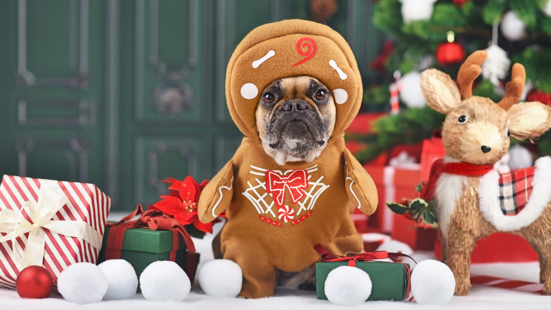 The Gingerman Gobbler: A Christmas Tale for Your Pup