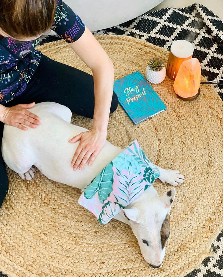 A chat with Gaby from Petzen dog massage