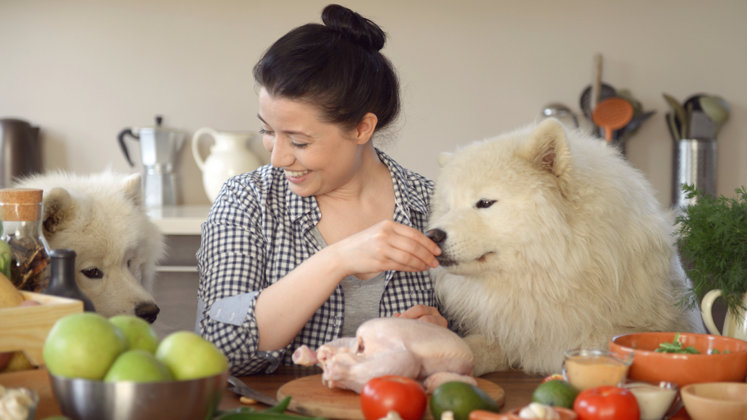 Debunking the myths about home-cooked dog food