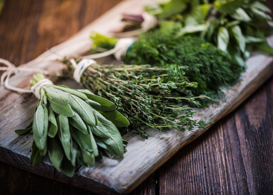 The Benefits of Herbs for Dogs