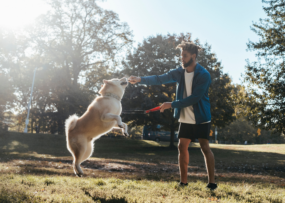 7 Fun Activities to Keep Your Dog Fit and Happy