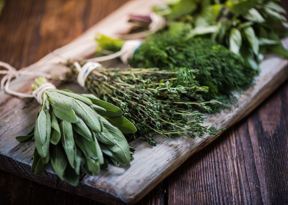 The Benefits of Herbs for Dogs