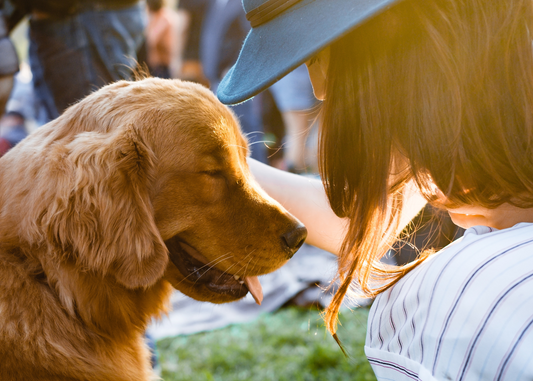 How to cope with the loss of a pet?