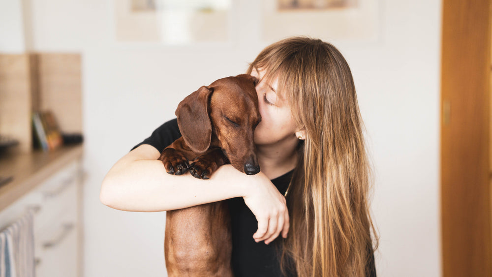 Know your pet first aid- Part 2