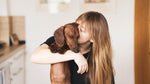 Know your pet first aid- Part 2