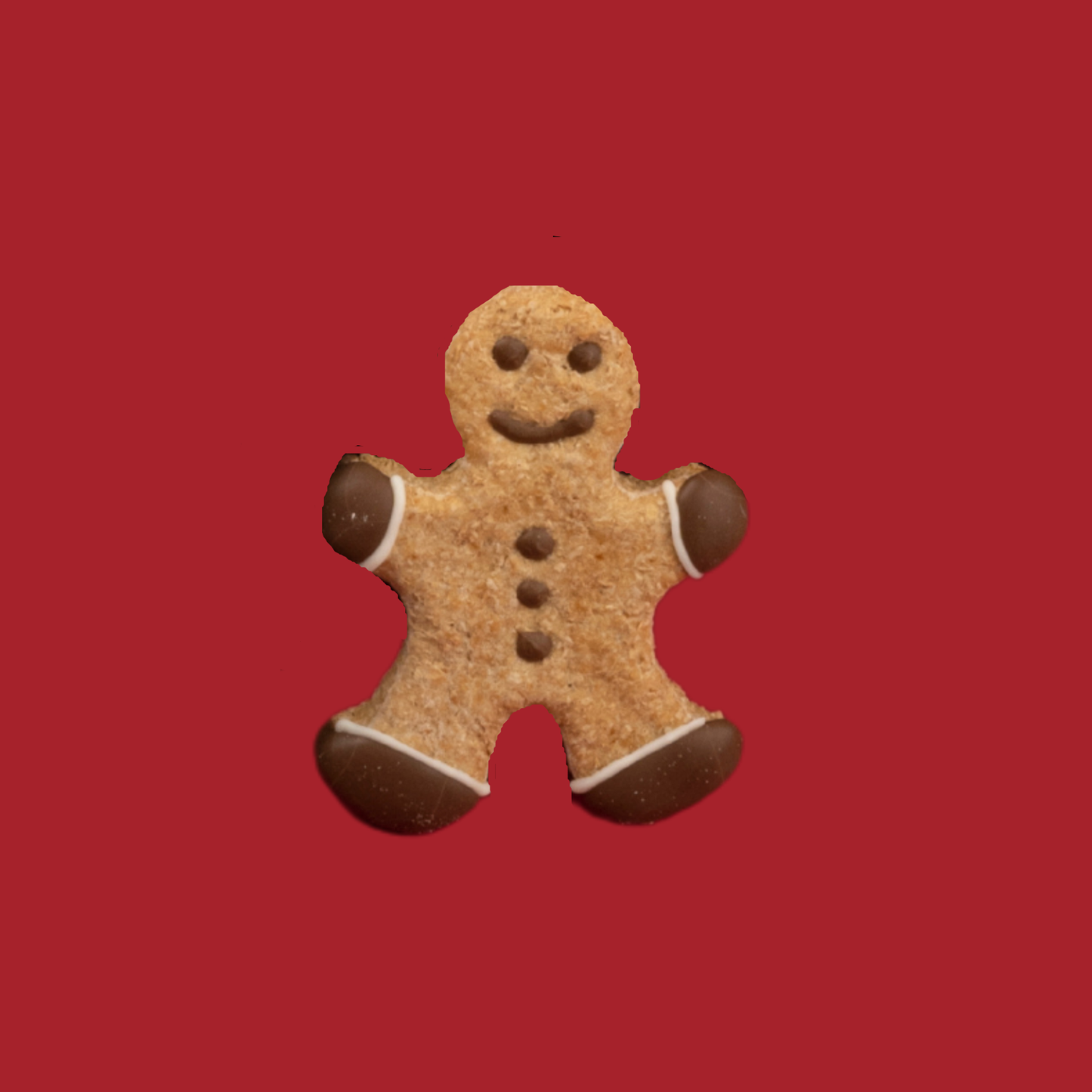 Doggy Christmas Box | The Gingerman Gobbler