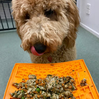 Doggy Grub