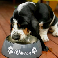 Doggy Grub