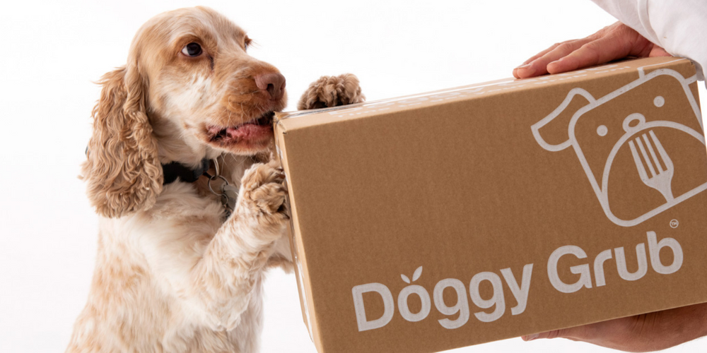 Doggy Grub