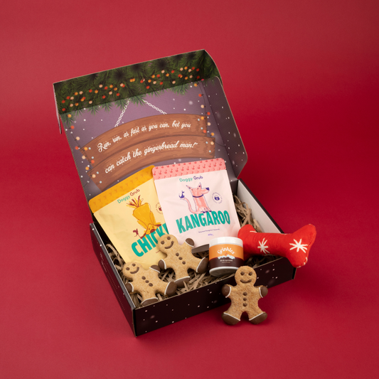 Doggy Christmas Box | The Gingerman Gobbler