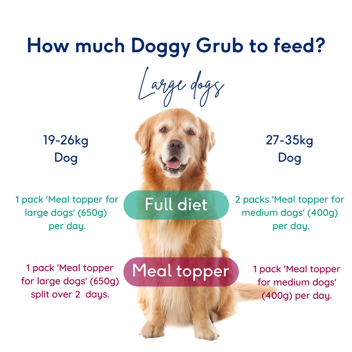 Meals for large dogs