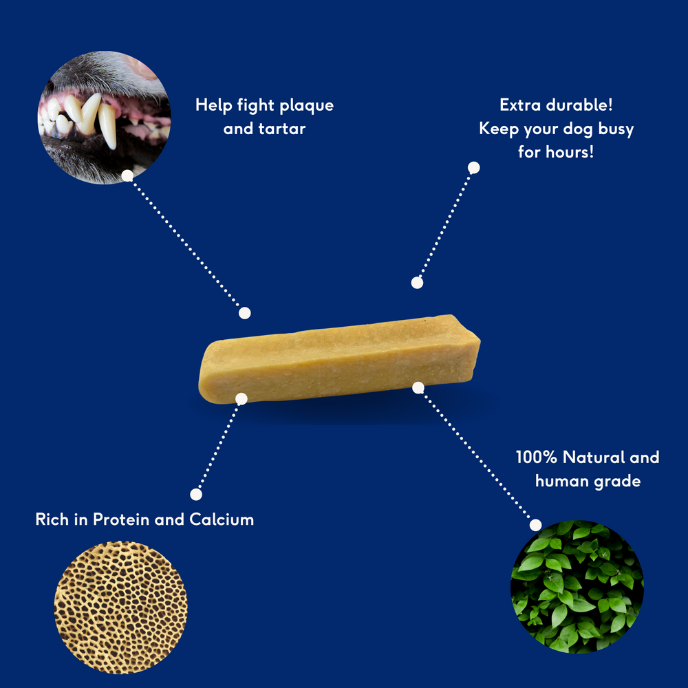 
                  
                    Himalayan Cheese Dog Chew
                  
                