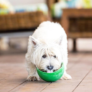 
                  
                    Lickimat Wobble Slowbowl feeder
                  
                
