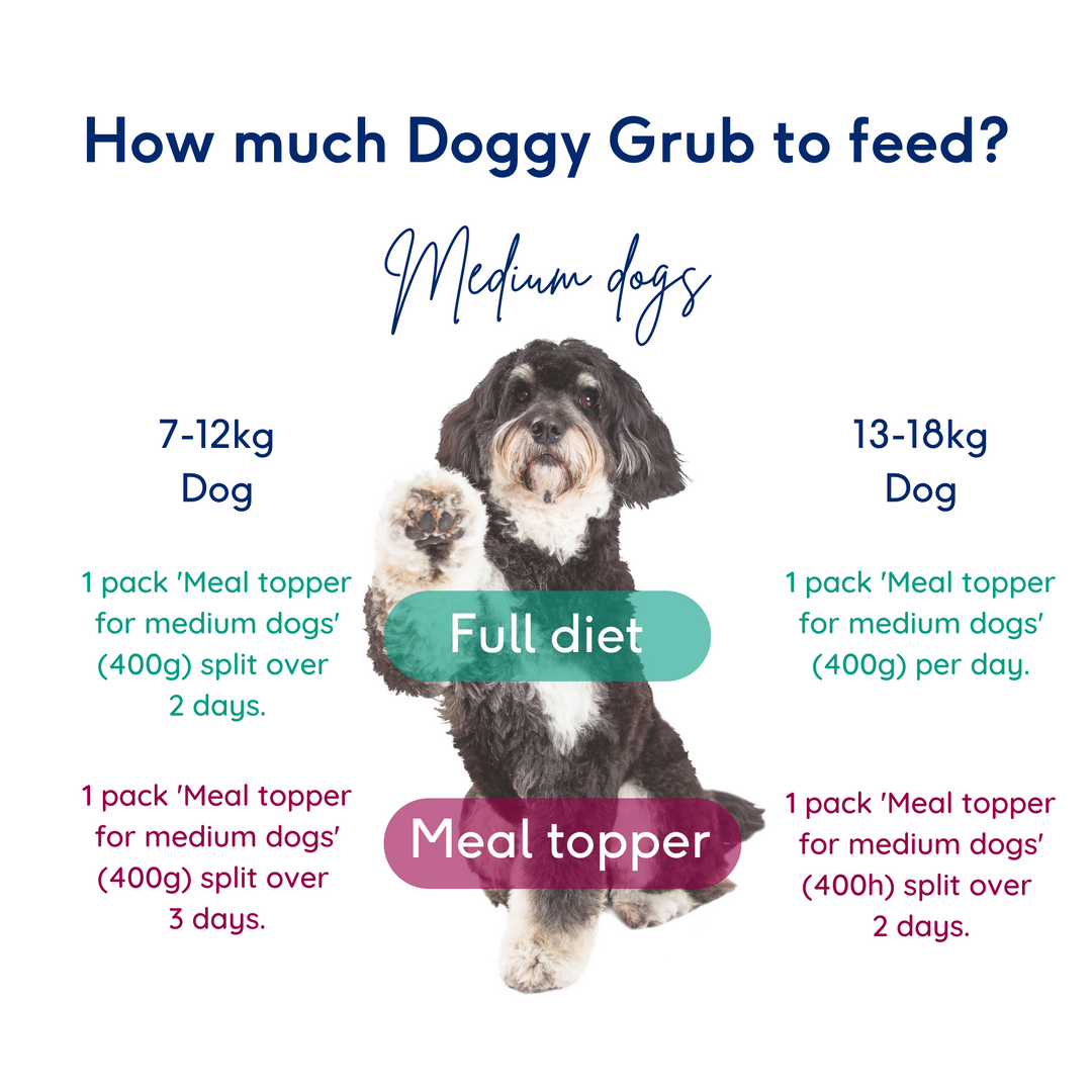 Meals for medium dogs